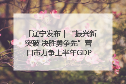 辽宁发布｜“振兴新突破 决胜勇争先”营口市力争上半年GDP增长6%左右