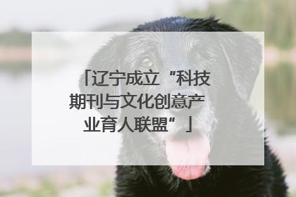 辽宁成立“科技期刊与文化创意产业育人联盟”