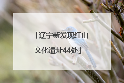 辽宁新发现红山文化遗址44处