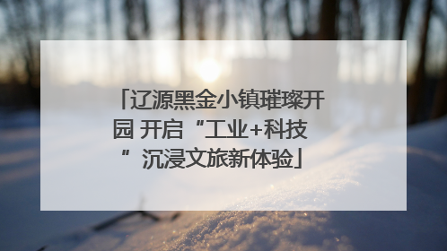 辽源黑金小镇璀璨开园 开启“工业+科技”沉浸文旅新体验