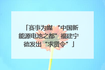 赛事为媒 “中国新能源电池之都”福建宁德发出“求贤令”