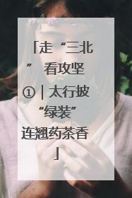 走“三北” 看攻坚①｜太行披“绿装” 连翘药茶香