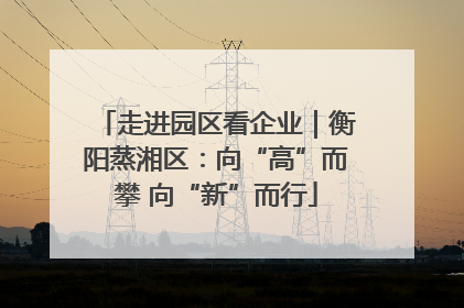 走进园区看企业｜衡阳蒸湘区：向“高”而攀 向“新”而行
