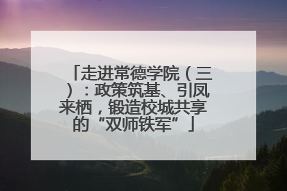 走进常德学院（三）：政策筑基、引凤来栖，锻造校城共享的“双师铁军”