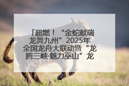 超燃！“金蛇献瑞 龙舞九州”2025年全国龙舟大联动暨“龙腾三峡·魅力巫山”龙舟邀请赛圆满落幕！