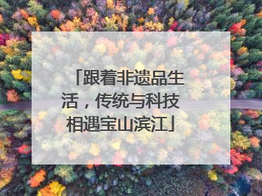 跟着非遗品生活，传统与科技相遇宝山滨江