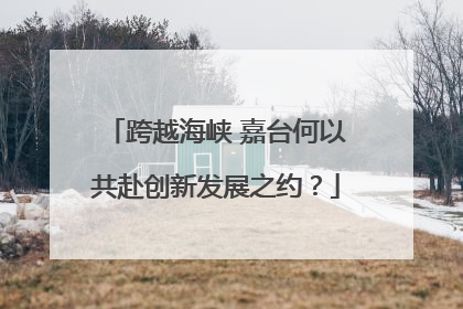 跨越海峡 嘉台何以共赴创新发展之约？