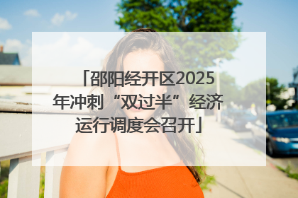邵阳经开区2025年冲刺“双过半”经济运行调度会召开