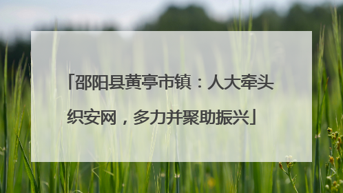 邵阳县黄亭市镇：人大牵头织安网，多力并聚助振兴