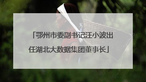 鄂州市委副书记汪小波出任湖北大数据集团董事长