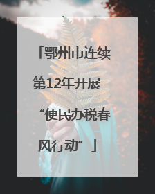 鄂州市连续第12年开展“便民办税春风行动”