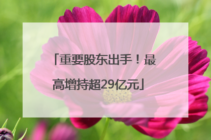 重要股东出手！最高增持超29亿元