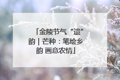 金陵节气“遗”韵｜芒种：笔绘乡韵 画意农情