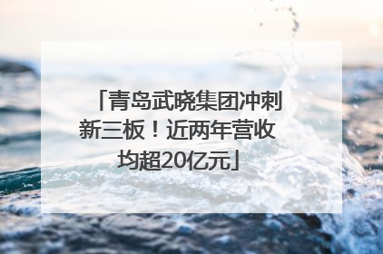 青岛武晓集团冲刺新三板！近两年营收均超20亿元