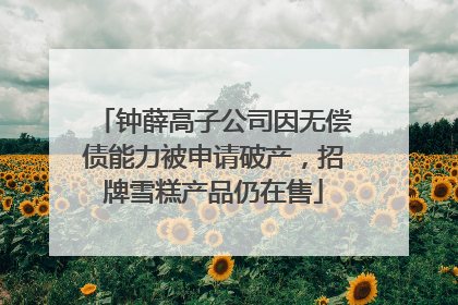 钟薛高子公司因无偿债能力被申请破产，招牌雪糕产品仍在售