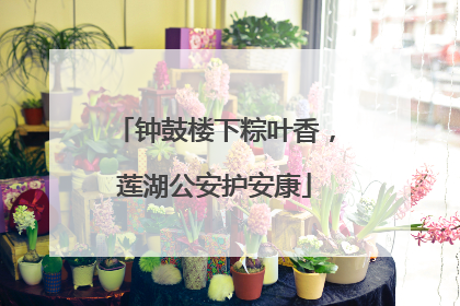 钟鼓楼下粽叶香，莲湖公安护安康