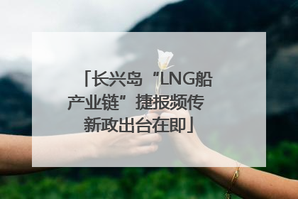 长兴岛“LNG船产业链”捷报频传 新政出台在即