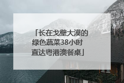 长在戈壁大漠的绿色蔬菜38小时直达粤港澳餐桌