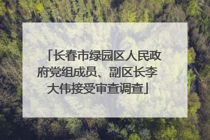 长春市绿园区人民政府党组成员、副区长李大伟接受审查调查