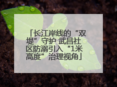 长江岸线的“双堤”守护 武昌社区防溺引入“1米高度”治理视角