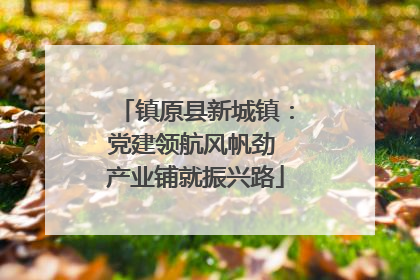 镇原县新城镇：党建领航风帆劲 产业铺就振兴路
