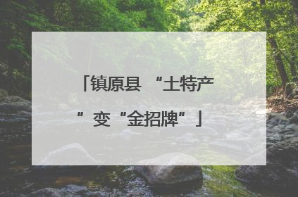 镇原县 “土特产”变“金招牌”