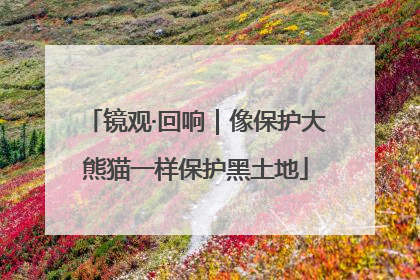 镜观·回响｜像保护大熊猫一样保护黑土地