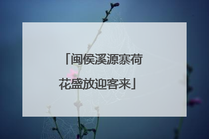 闽侯溪源寨荷花盛放迎客来
