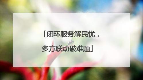 闭环服务解民忧，多方联动破难题