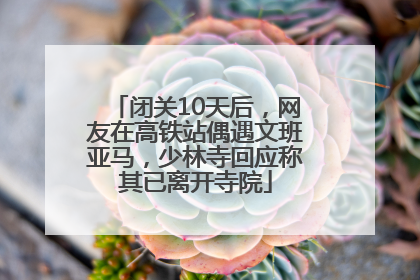 闭关10天后，网友在高铁站偶遇文班亚马，少林寺回应称其已离开寺院