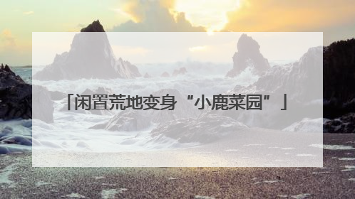 闲置荒地变身“小鹿菜园”