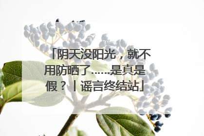 阴天没阳光，就不用防晒了……是真是假？丨谣言终结站