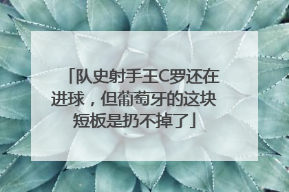 队史射手王C罗还在进球，但葡萄牙的这块短板是扔不掉了