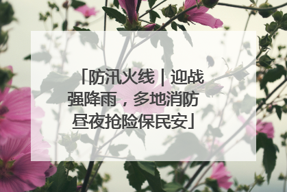 防汛火线｜迎战强降雨，多地消防昼夜抢险保民安