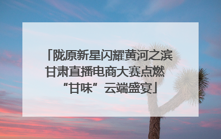 陇原新星闪耀黄河之滨 甘肃直播电商大赛点燃“甘味”云端盛宴