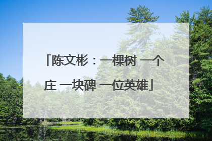 陈文彬：一棵树 一个庄 一块碑 一位英雄