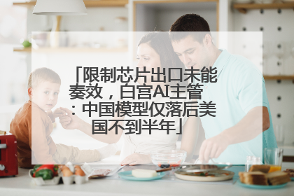限制芯片出口未能奏效，白宫AI主管：中国模型仅落后美国不到半年