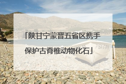 陕甘宁蒙晋五省区携手保护古脊椎动物化石