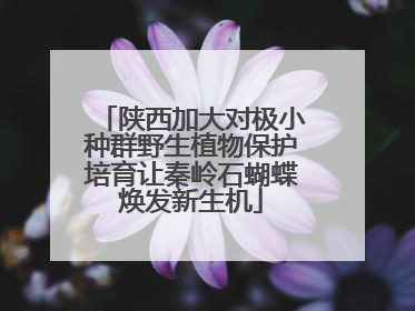 陕西加大对极小种群野生植物保护培育让秦岭石蝴蝶焕发新生机