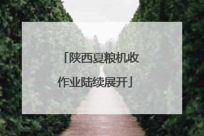 陕西夏粮机收作业陆续展开