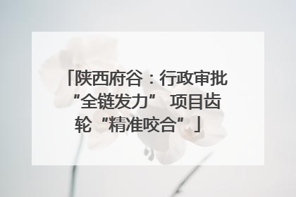 陕西府谷：行政审批“全链发力” 项目齿轮“精准咬合”