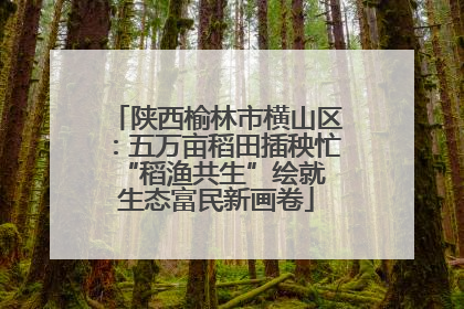 陕西榆林市横山区：五万亩稻田插秧忙 “稻渔共生”绘就生态富民新画卷