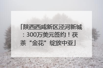 陕西西咸新区泾河新城：300万美元签约！茯茶“金花”绽放中亚