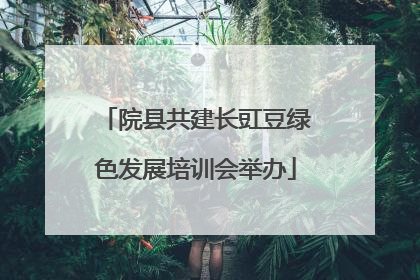院县共建长豇豆绿色发展培训会举办