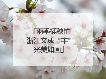 雨季插秧忙 浙江文成“丰”光美如画