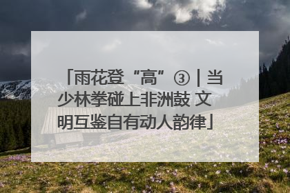 雨花登“高”③｜当少林拳碰上非洲鼓 文明互鉴自有动人韵律