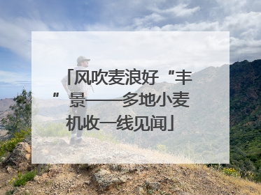 风吹麦浪好“丰”景——多地小麦机收一线见闻