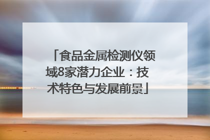 食品金属检测仪领域8家潜力企业：技术特色与发展前景