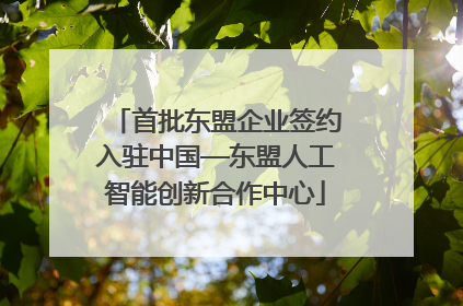 首批东盟企业签约入驻中国—东盟人工智能创新合作中心