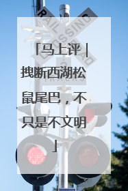 马上评｜拽断西湖松鼠尾巴，不只是不文明